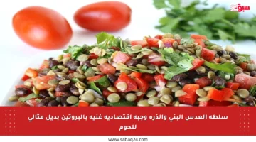 سلطة العدس البني والذرة وجبة اقتصادية غنية بالبروتين بديل مثالي للحوم